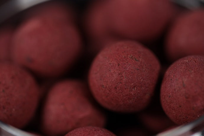 BLOODWORM POP-UPS 16mm