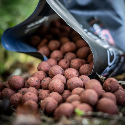 RG Baits Stabilised Boilies - Red Sea Squid