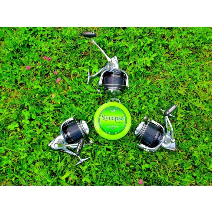 Katran - SYNAPSE Wild Carp 1000m 15.5lb 0.328mm