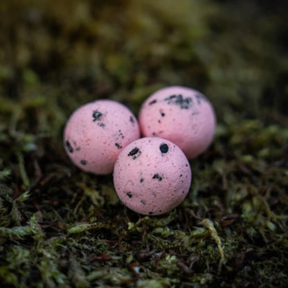 RG Baits 'High Class' Pink Edition Pop-Ups + Booster - Red Sea Squid