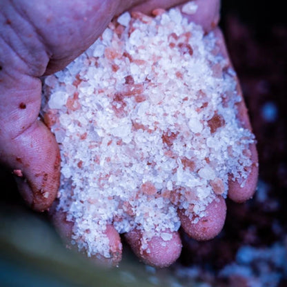 RG Baits Himalayan Rock Salt (Course) -1kg