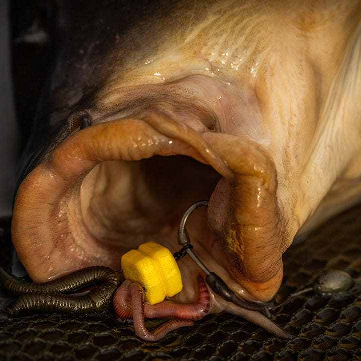 Pole Position Corn Maggot Clip
