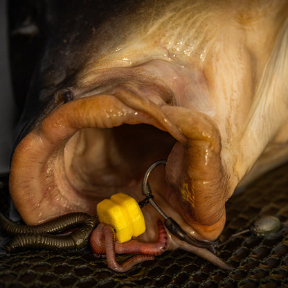 Pole Position Corn Maggot Clip