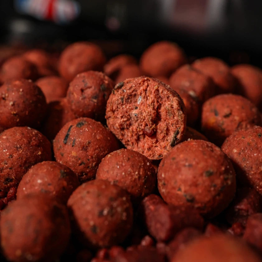 RG Baits Stabilised Boilies - Red Sea Squid