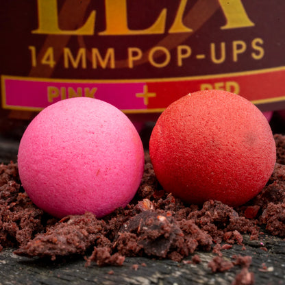 Paella Boosted Fluoro Pop Ups