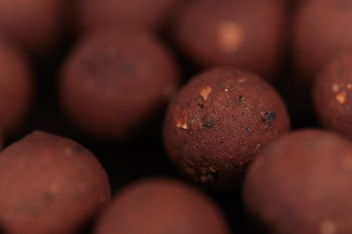 Sticky Baits - Bloodworm - Shelf Life Boilies