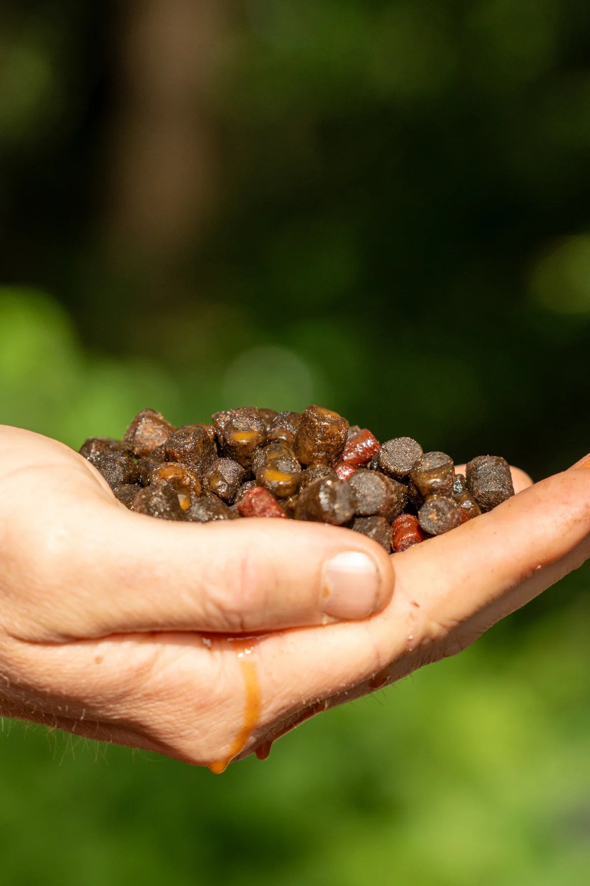 Paella Pellet Mix