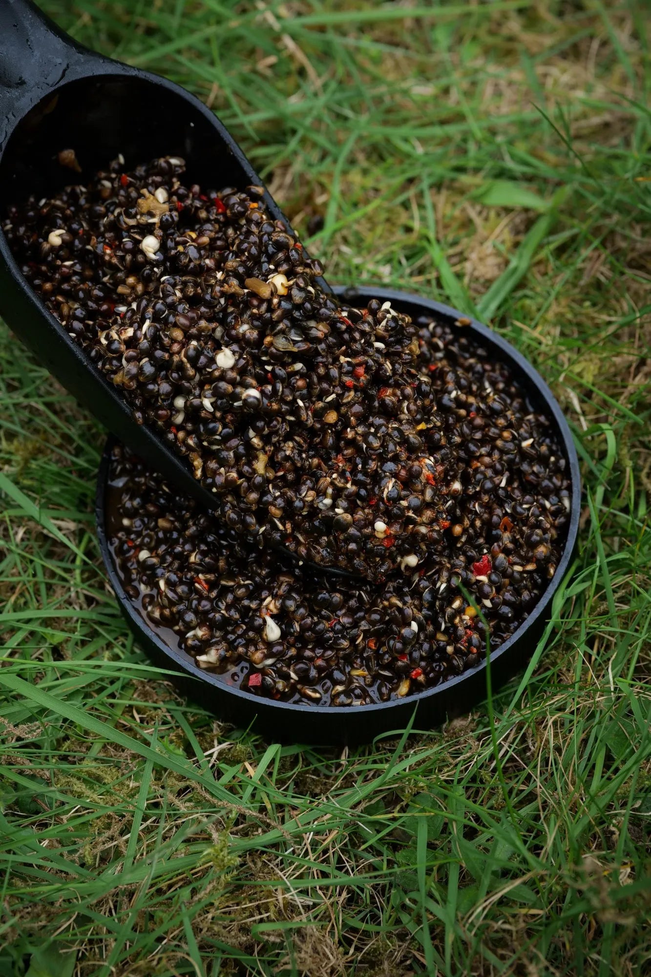 Chilli Hemp – Shelf Life – Particle