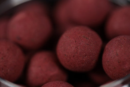 BLOODWORM POP-UPS 16mm