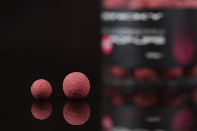 BLOODWORM POP-UPS 16mm