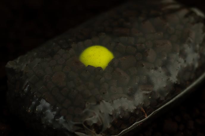 Sticky Baits Pineapple & N-Butyric Pop ups