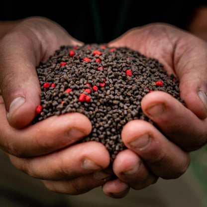 RG Baits Mini Pellets - Hot Shrimp + Liver 2mm 1kg