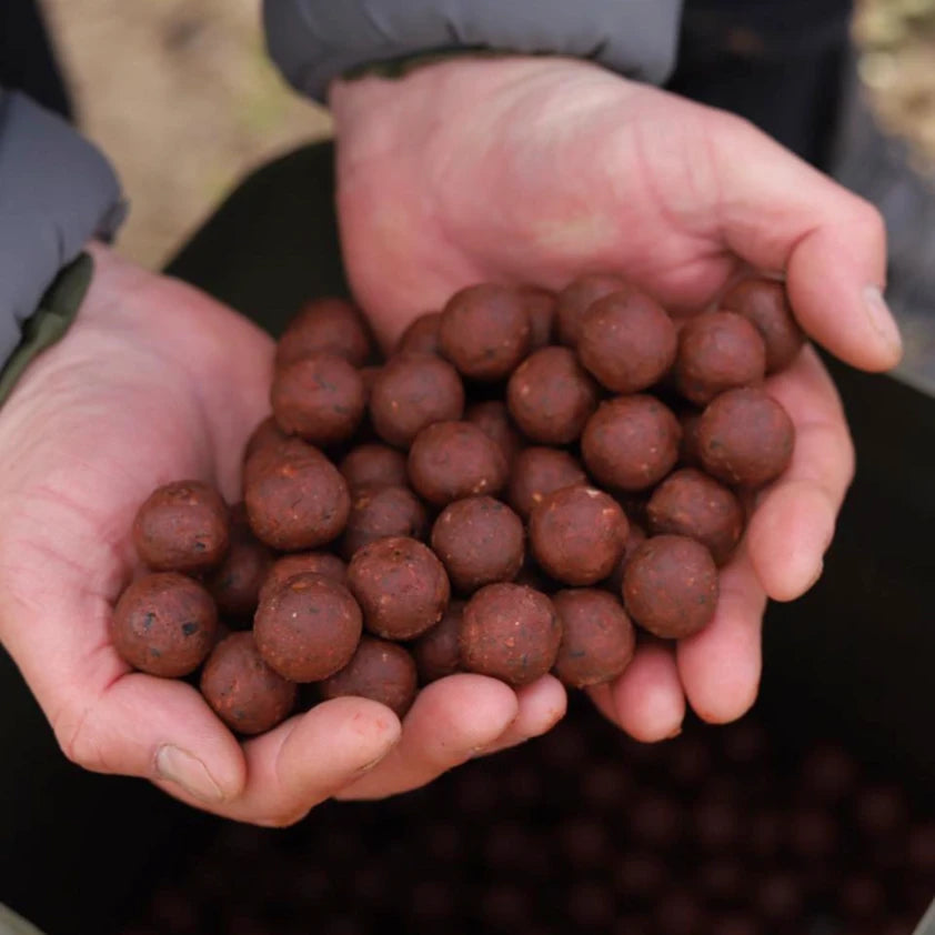 RG Baits Stabilised Boilies - Red Sea Squid