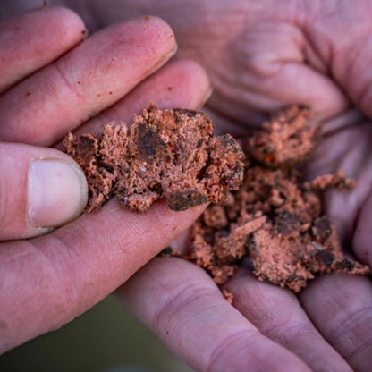 RG Baits Stabilised Boilies - Red Sea Squid