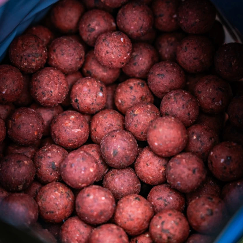 RG Baits Stabilised Boilies - Red Sea Squid