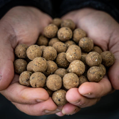 RG Baits Stabilised Boilies - Arctic Crab